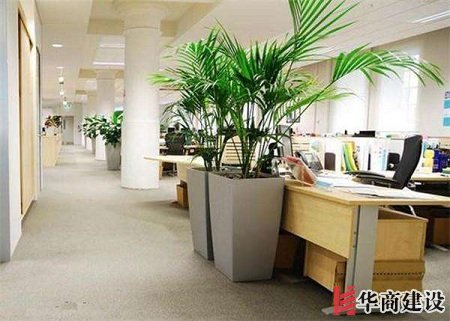 辦公室裝修的五大原則，原來要這樣設(shè)計！