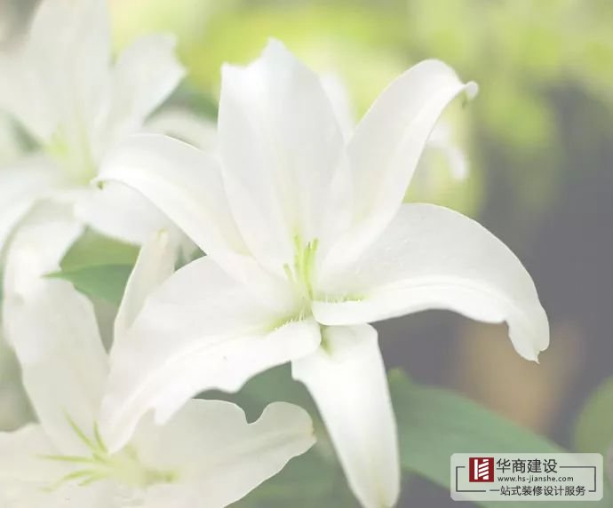 裝修不將就，廣州大型公裝家裝公司更注重細(xì)節(jié)