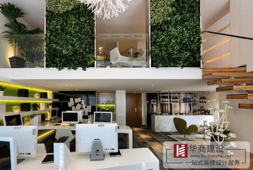 辦公室裝修中綠植是不可或缺的！為什么呢？